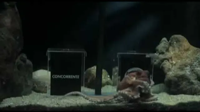 Vídeo: Fiat (Filme Publicitário)